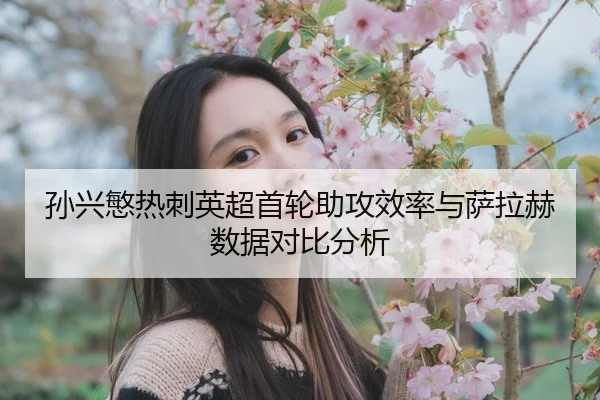 sun-xing-min-re-ci-ying-chao-shou-lun-zhu-gong-xiao-lv-yu-sa-la-he-shu-ju-dui-bi-fen-xi-2-295.jpg