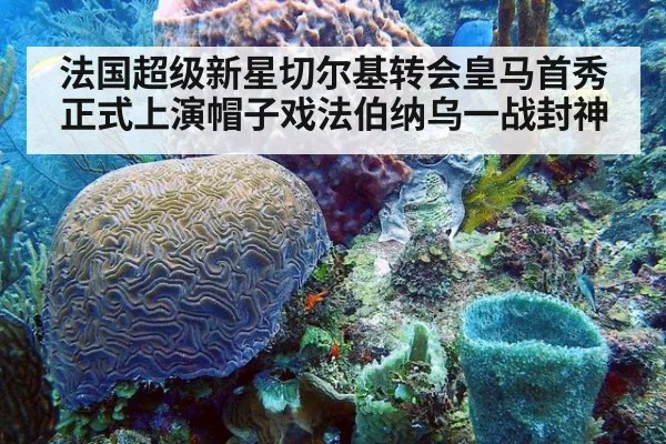 法国超级新星切尔基转会皇马首秀正式上演帽子戏法伯纳乌一战封神