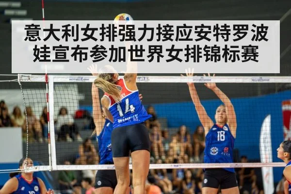 volleyball match