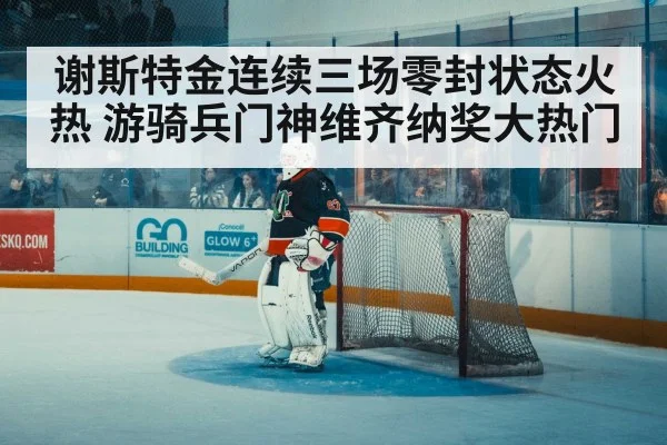 ice hockey goalkeeper